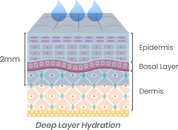 Mesotherapy - Deep Layer Hydration